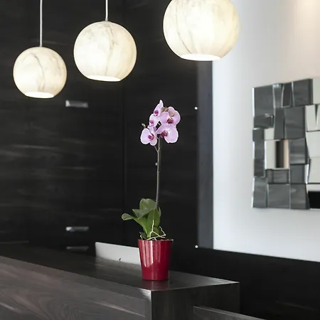 Antwerp Inn Hotel Antwerpen