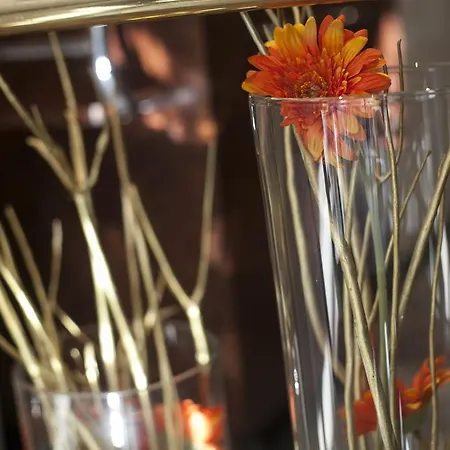 Antwerp Inn Hotel Anversa